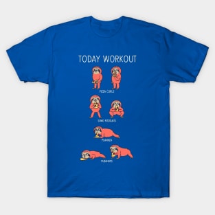 Today Workout with Sloth T-Shirt